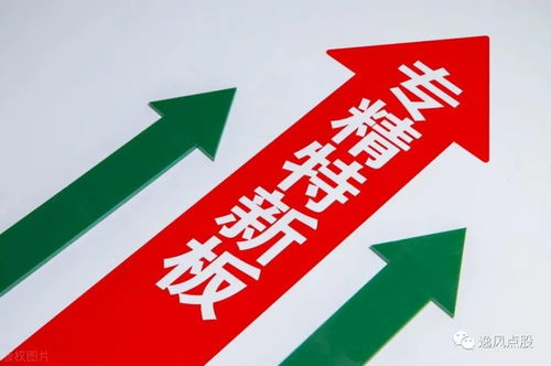 專精特新 崛起 16家績優(yōu) 小巨人 獲機(jī)構(gòu)扎堆關(guān)注